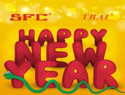 Embracing 2025, walking hand in hand