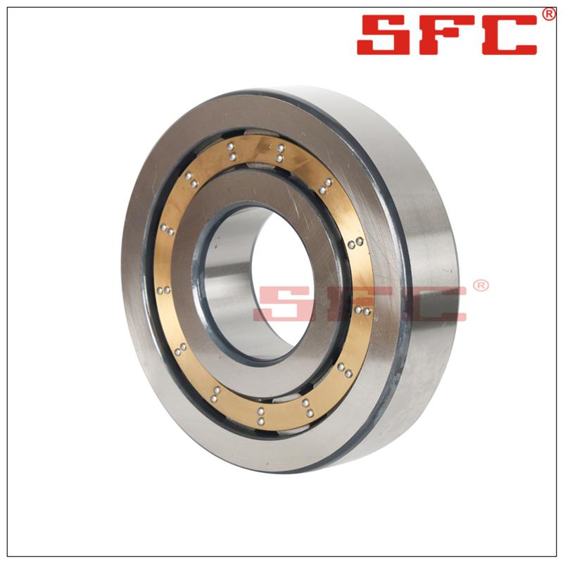 Single Row Cylindrical Roller Bearing NUP203 NU2203ECP NJ2203ECP