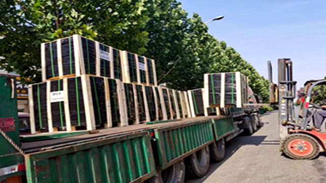 Single Row Cylindrical Roller Bearing NUP203 NU2203ECP NJ2203ECP