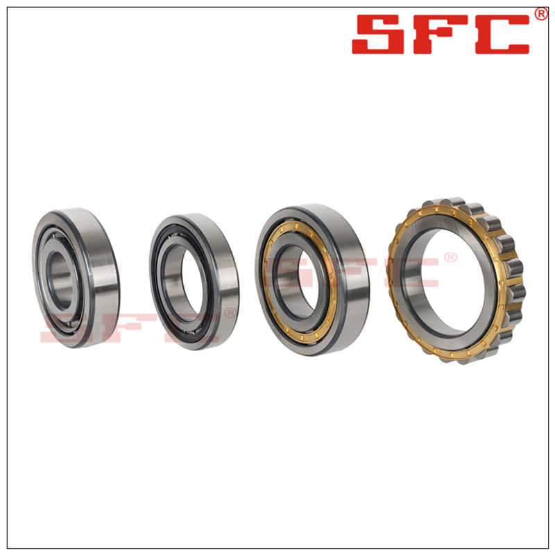 Single Row Cylindrical Roller Bearing 