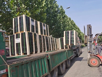 6306 2RS Bearing 6306 2RS Bearing